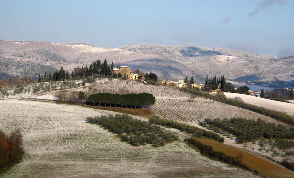Osteria Carnivora Guest House Gaiole in Chianti Eksteriør bilde